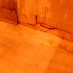 DSCN0007